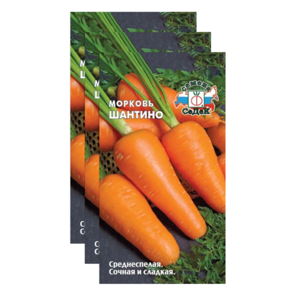 

Семена морковь Шантино СеДеК 23-03956