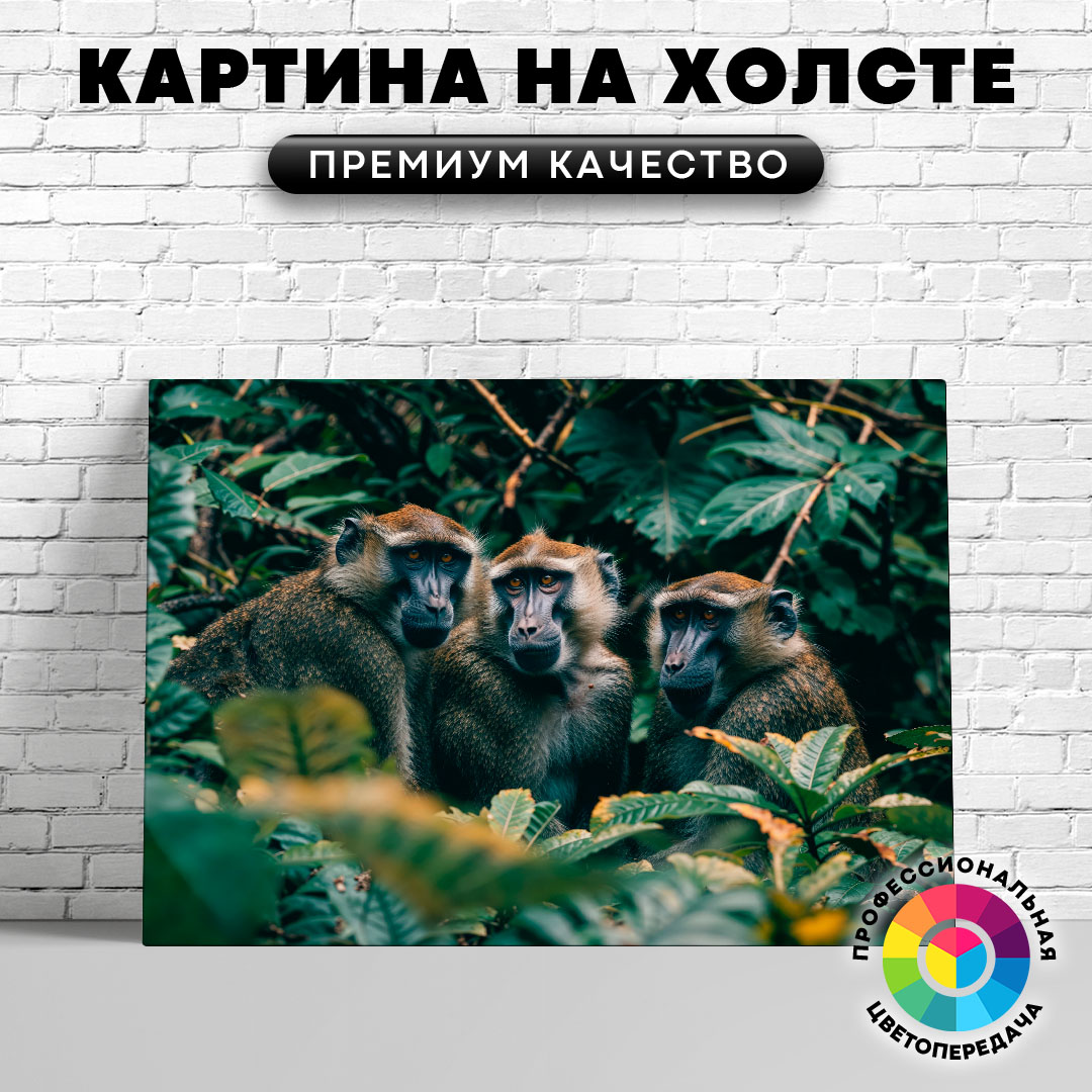 

Картина на холсте Бабуины на дереве 75х100 см, ЖБАБУ