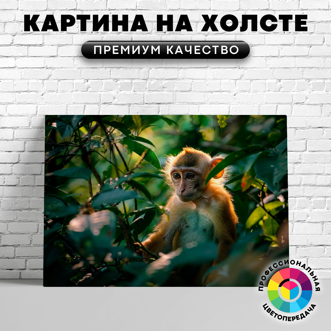 

Картина на холсте Задумчивая обезьянка 75х100 см, ЖОБЕЗ
