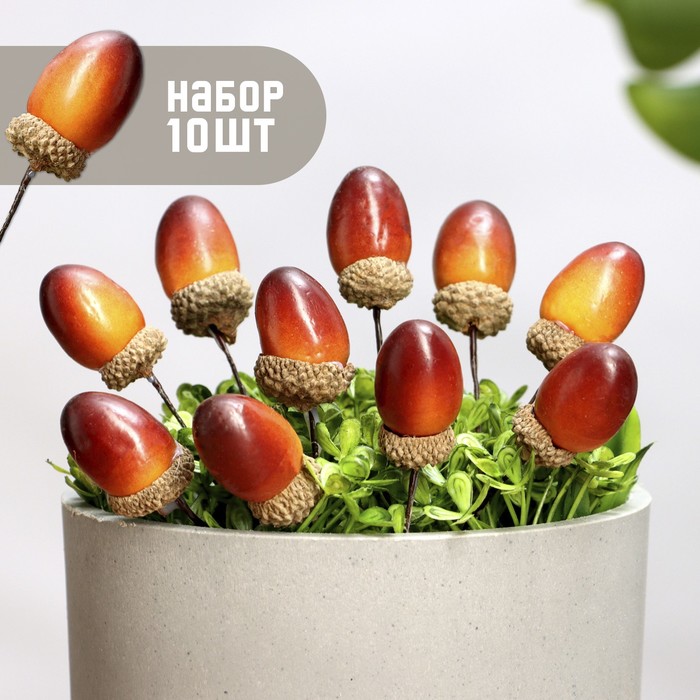 

Набор штекеров TAKE IT EASY Желудь 10шт, 3х2см 9943573, Коричневый