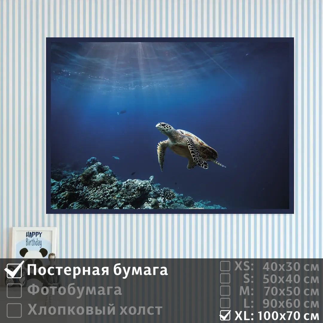 

Постер на стену ПолиЦентр Черепаха на глубине в океане 100х70 см, ЧерепахаНаГлубинеВОкеане1