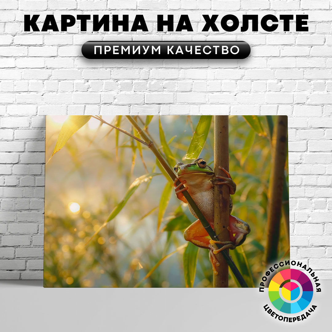 

Картина на холсте Любопытная лягушка 60х45 см, ЖЛЯГУ