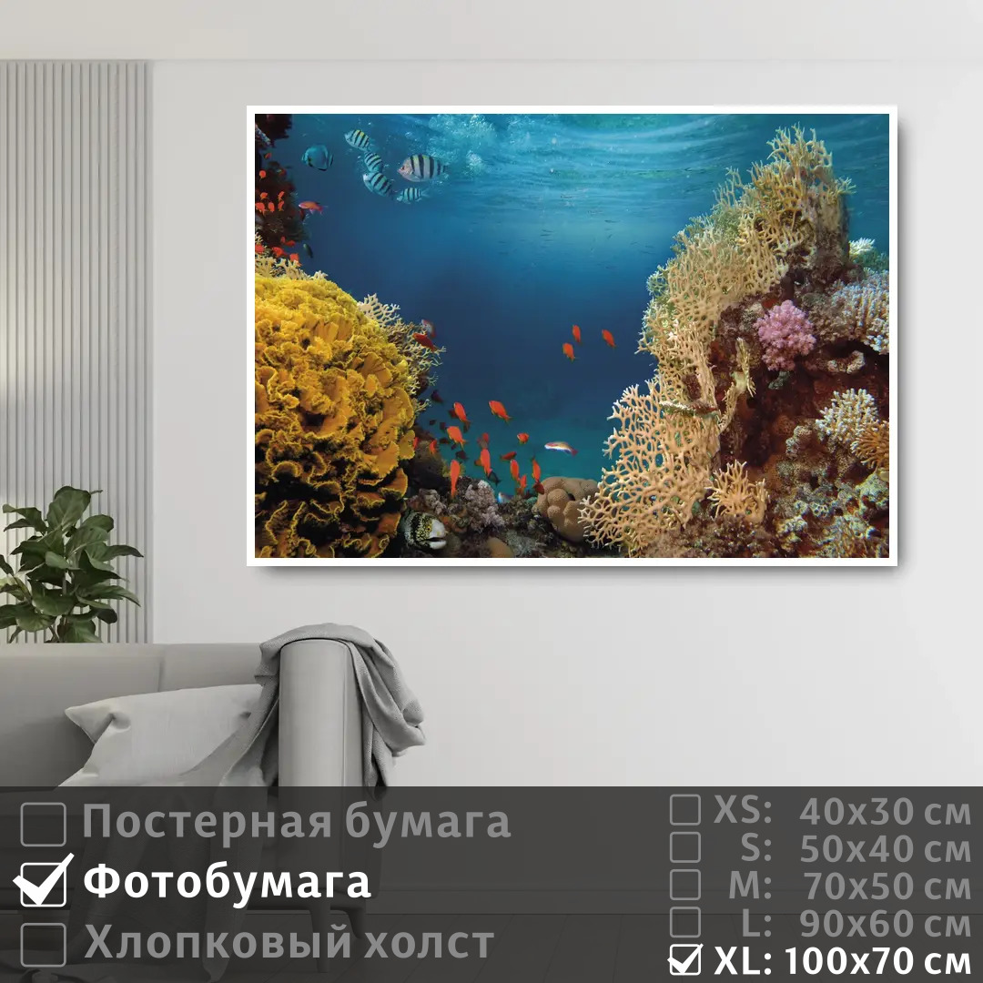 

Постер на фотобумаге ПолиЦентр Морские рыбки в коралловых рифах 100х70 см, МорскиеРыбкиВКоралловыхРифах1