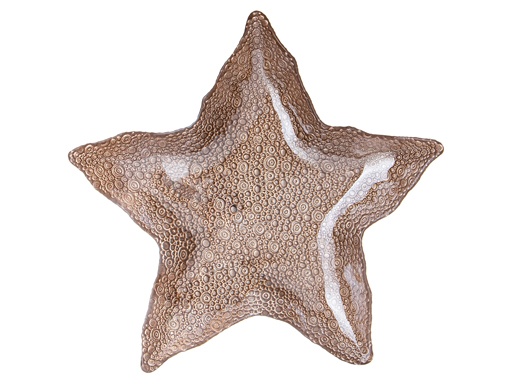 фото Блюдо starfish sand 336-083 34 см арти-м