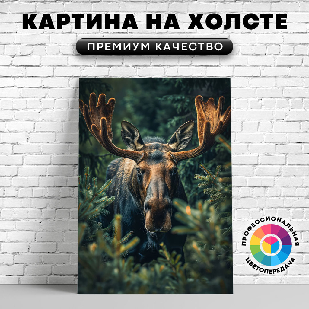

Картина на холсте Красивый лось 75х100 см, ЖЛОСИ