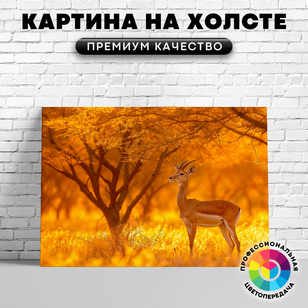 

Картина на холсте Антилопа в золотой час 60х80 см, ЖАНТИ