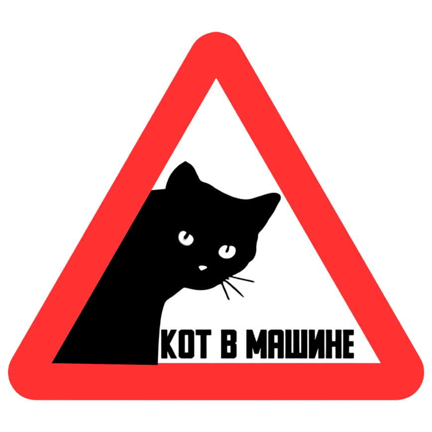 Наклейка на автомобиль Кот в машине
