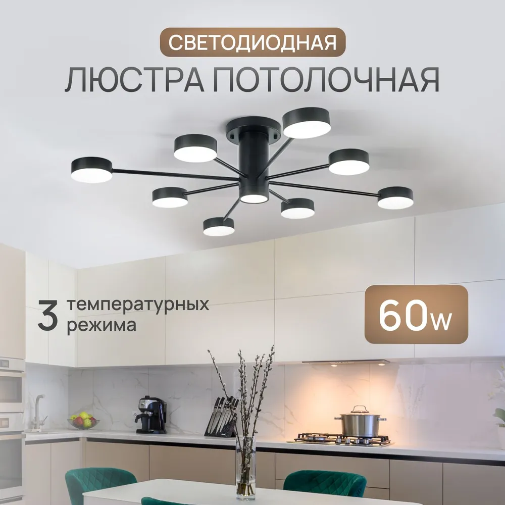 

Невстраиваемый потолочный светильник Gleaming Glory, черная