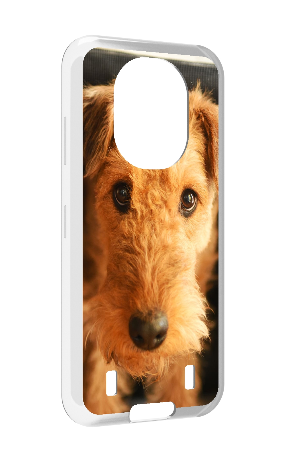 

Чехол MyPads эрдельтерьер для Oukitel WP16, Прозрачный, Tocco
