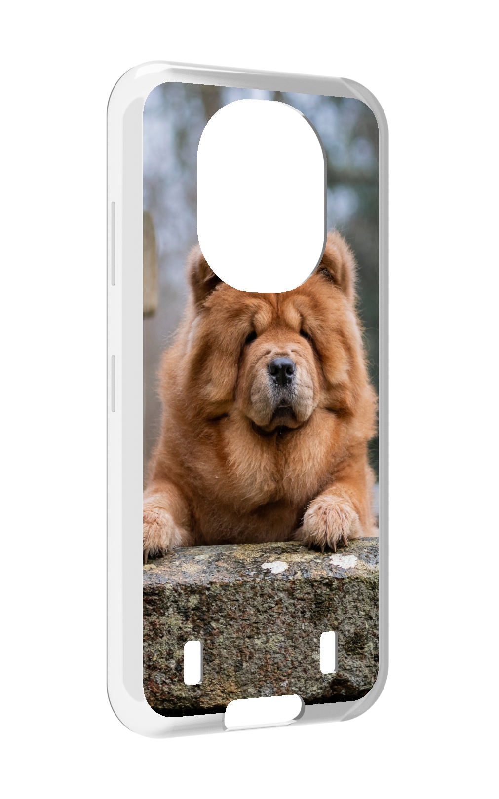 

Чехол MyPads чау чау для Oukitel WP16, Прозрачный, Tocco