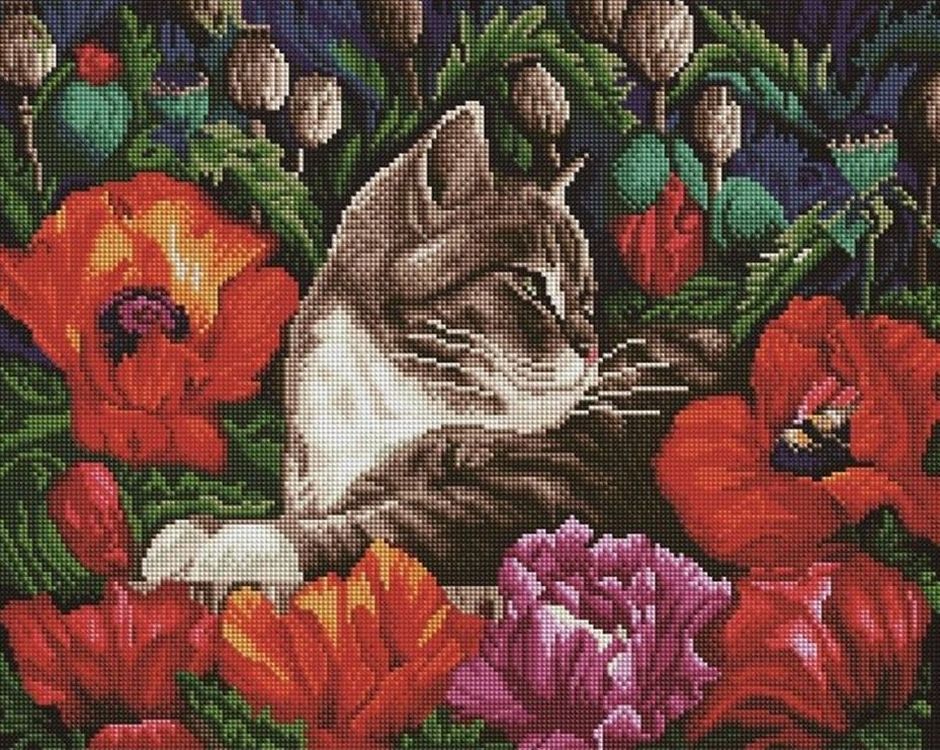 

Алмазная вышивка «Кот в маках»