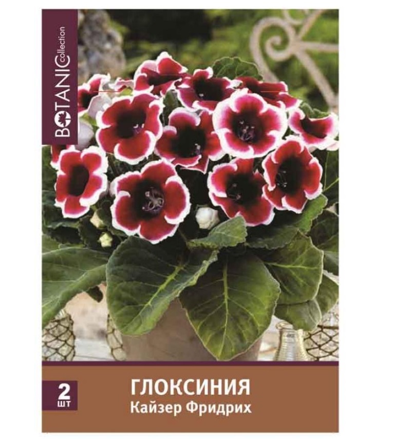 

Семена 7 Цветов Botanic Collection Глоксиния Кайзер Фридрих 5-6 см 2 шт 60 г