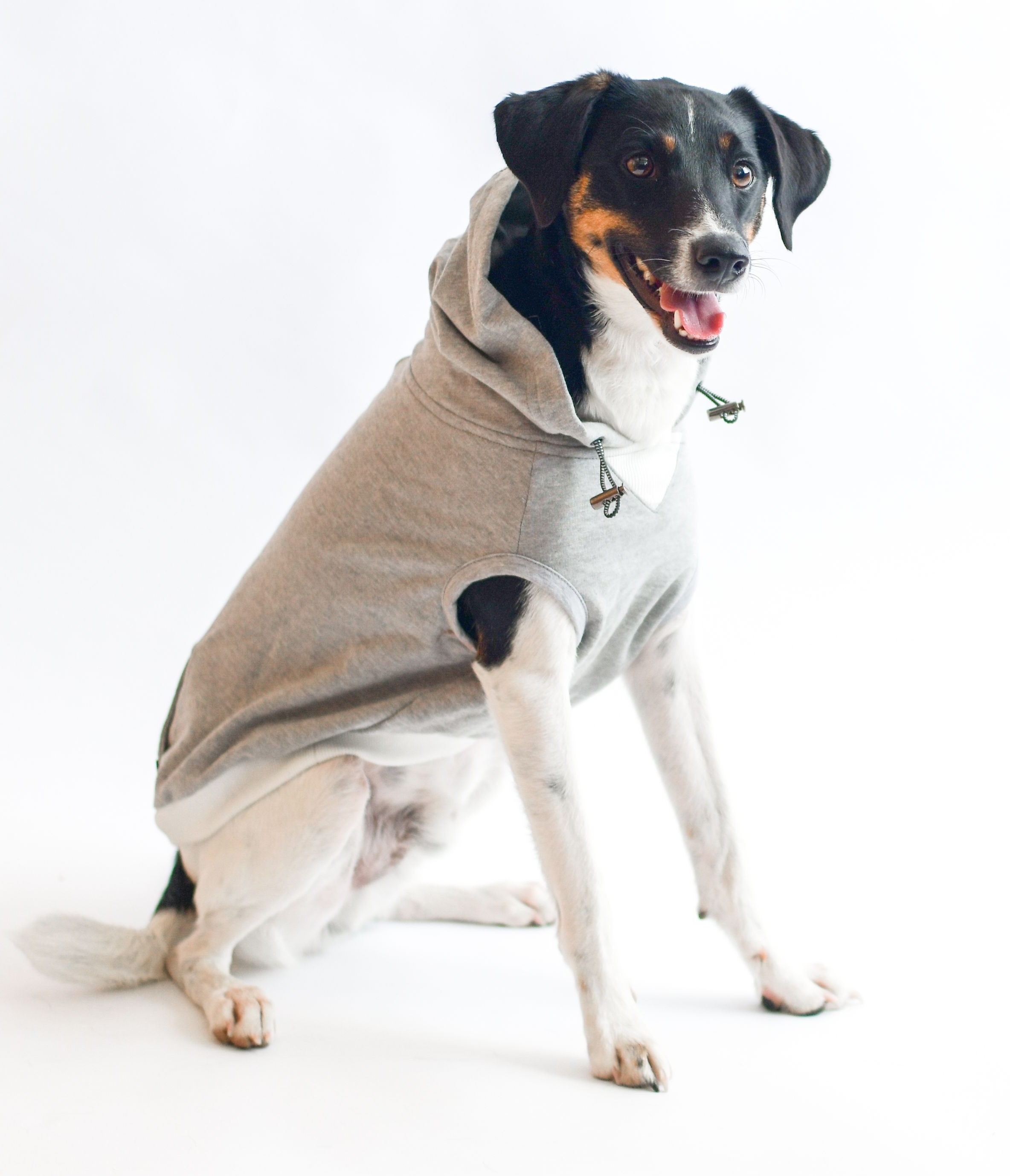 фото Толстовка для собак dog gone smart relaxing hoodie 55 см, серый и оливковый