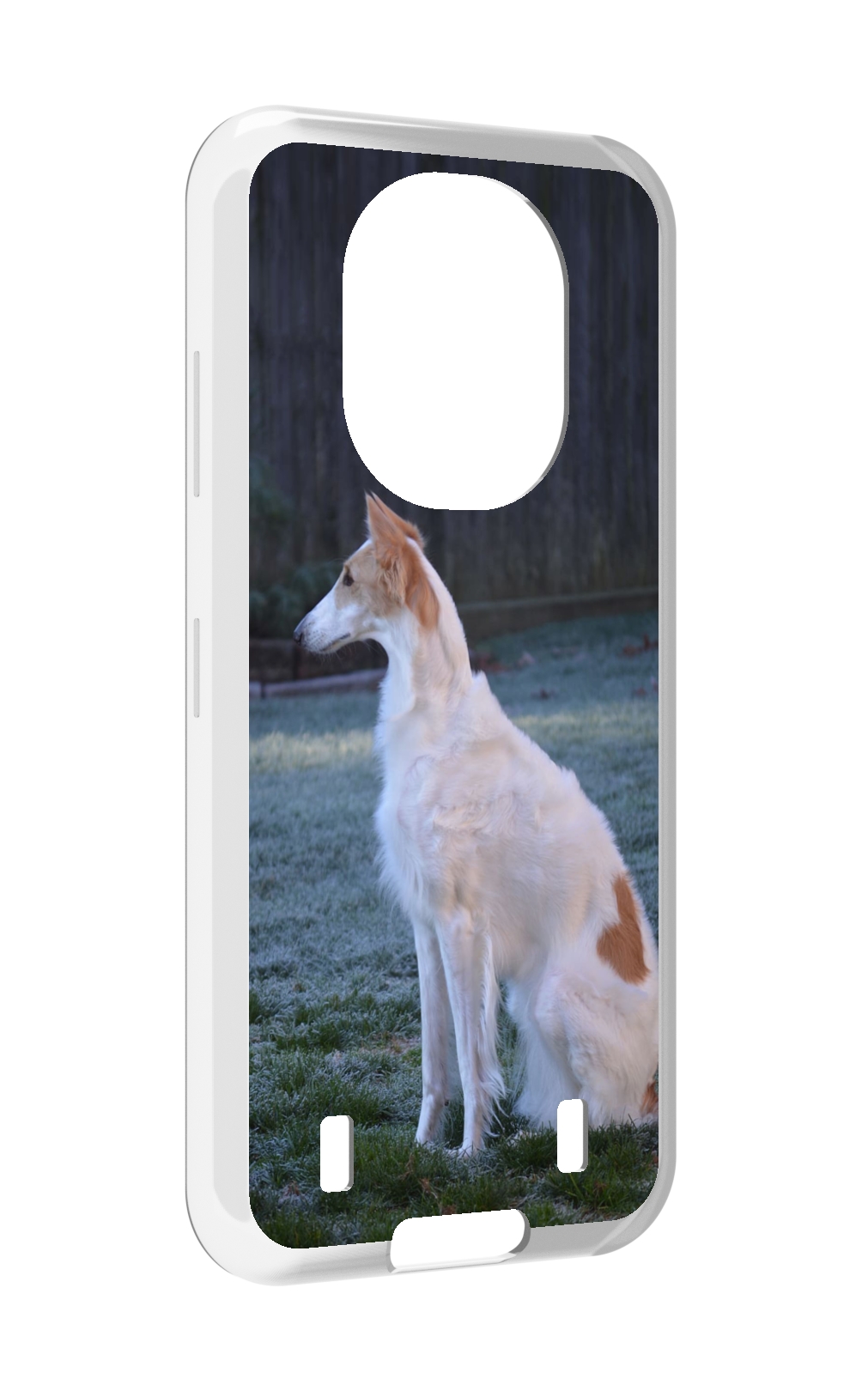 

Чехол MyPads русская псовая борзая для Oukitel WP16, Прозрачный, Tocco