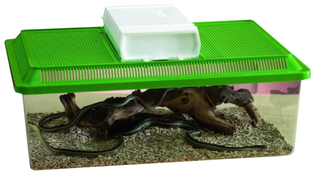 Магазин для черепах. Savic Аква-террариум fauna Box. Террариум для рептилий, для черепах Savic fauna Box Low, зеленый, 50,5 x 17 x 30,5 см. Террариум для черепах (s-02b). Террариум переноска Triton.