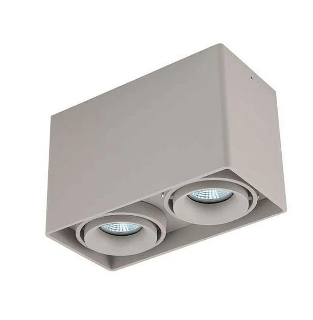 

Потолочный светильник Donolux Dl18611/02WW-SQ Silver Grey