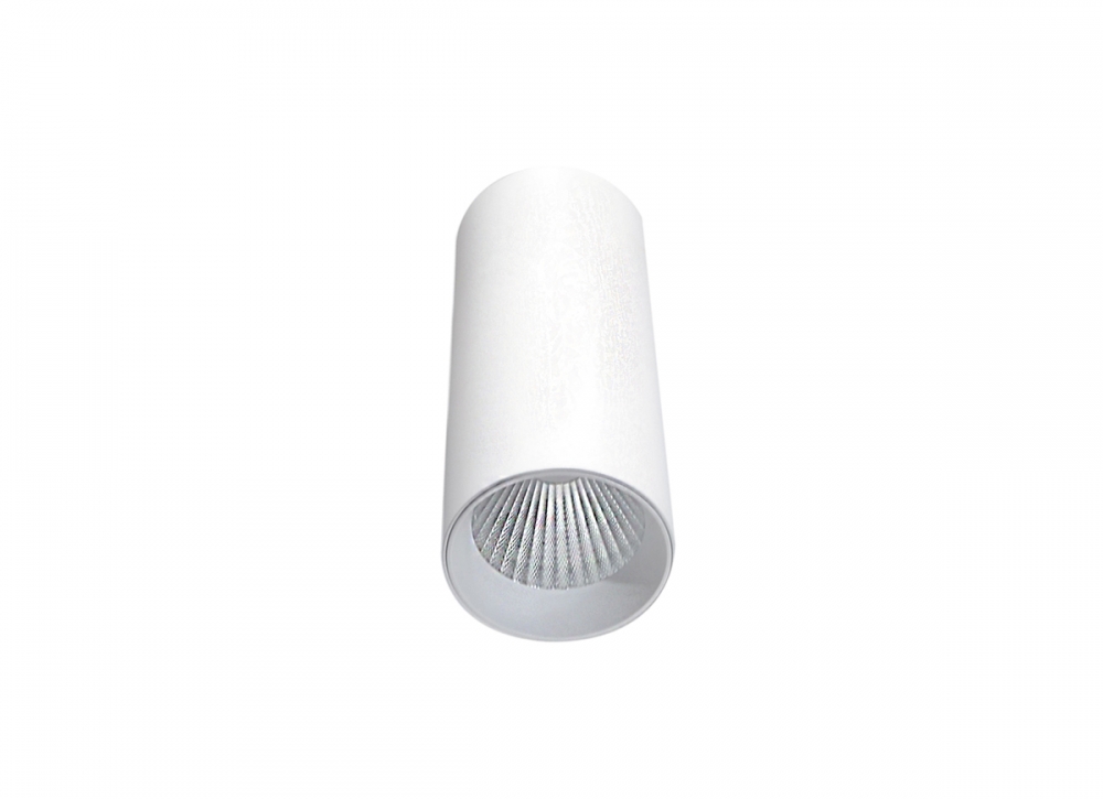 Накладной светодиодный светильник блок питания в комплекте Donolux Rollo DL18895R15W1W