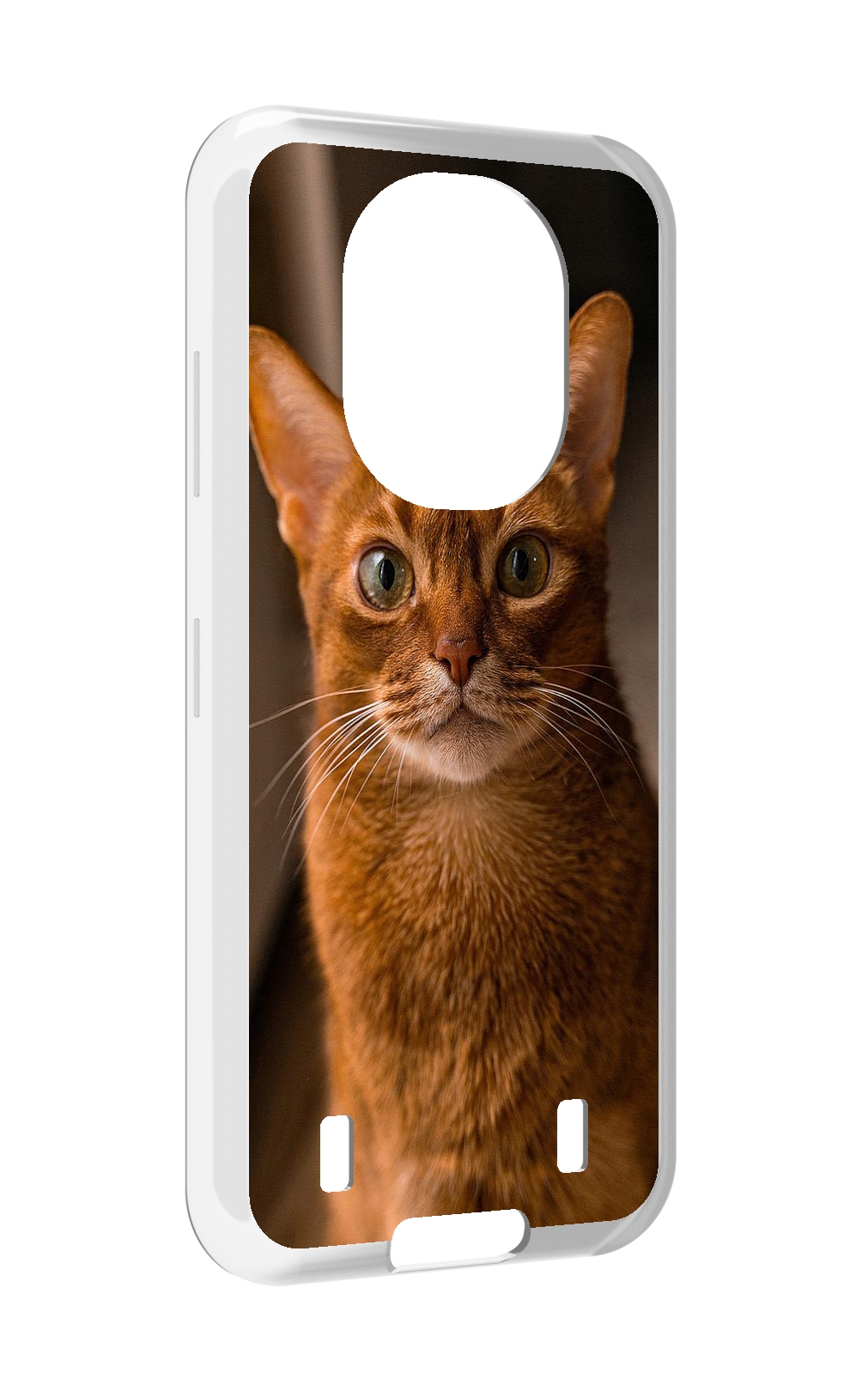 

Чехол MyPads порода кошки абисинская для Oukitel WP16, Прозрачный, Tocco
