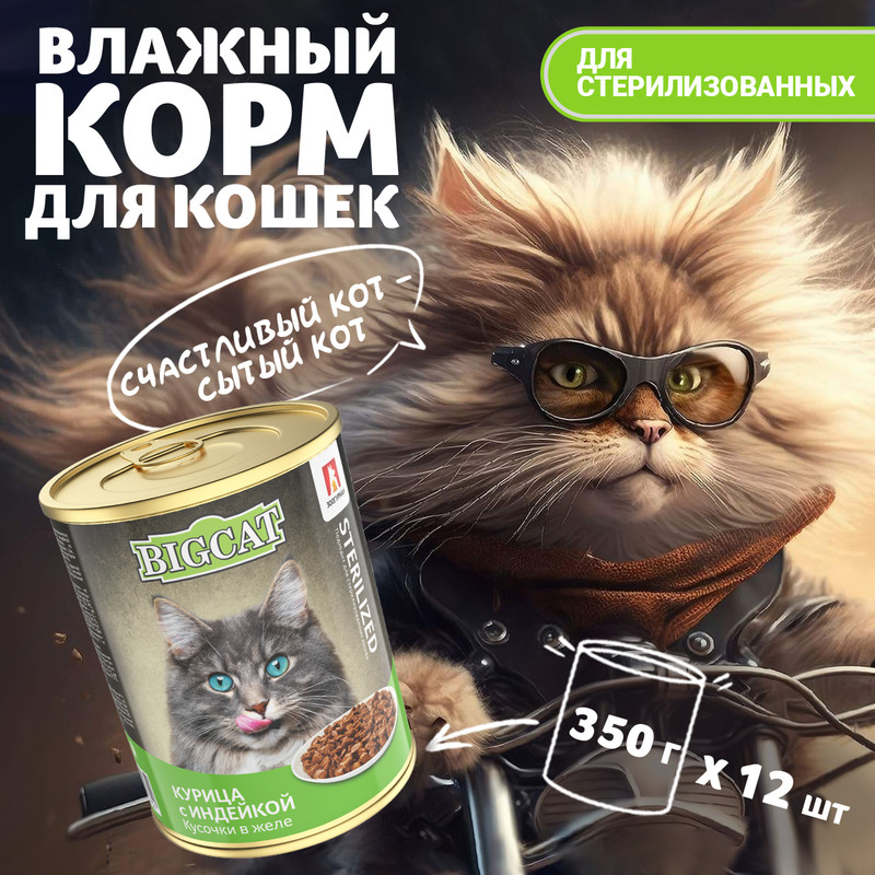 

Влажный корм для кошек Зоогурман BIG CAT Консервированный, Курица с индейкой, 12шт * 350г, Big Cat Sterilized