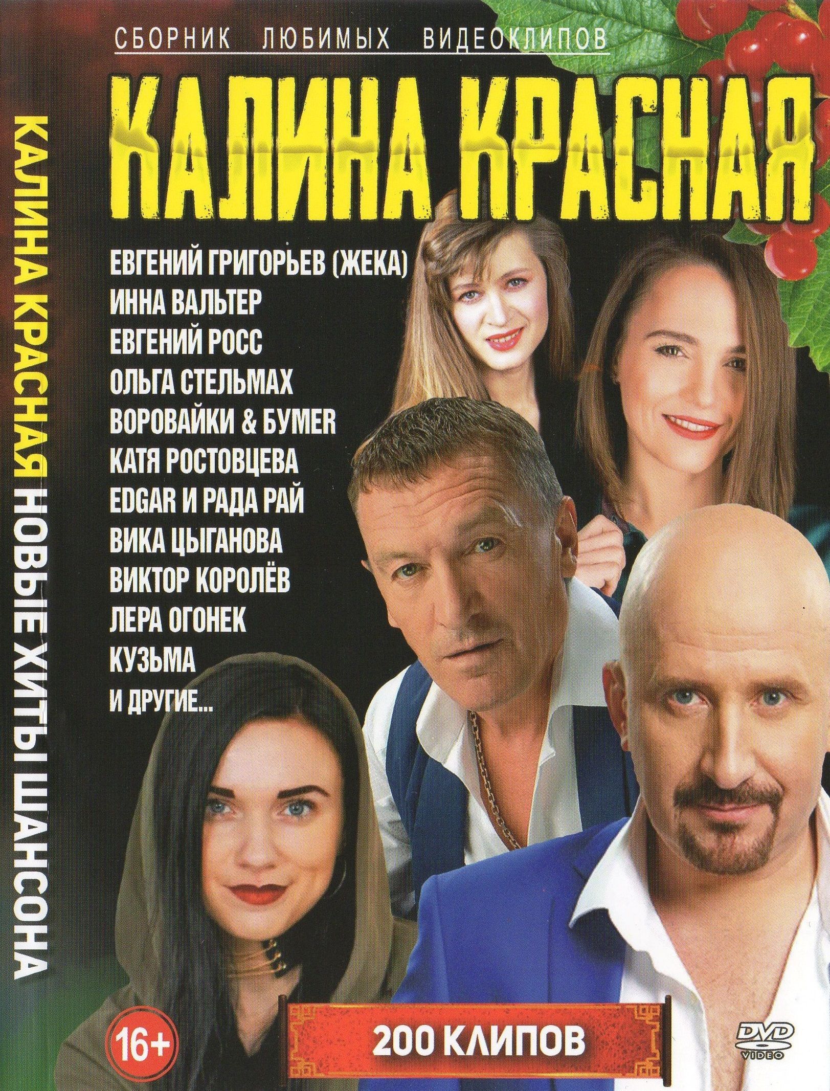 

Калина Красная, новые хиты шансона 200 клипов (DVD)
