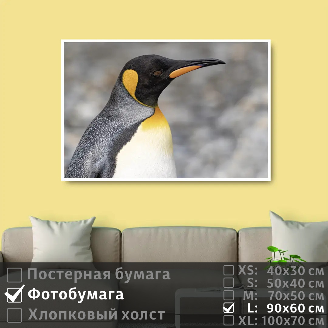 

Постер на фотобумаге ПолиЦентр Пингвин смотрит вдаль 90х60 см, ПингвинСмотритВдаль