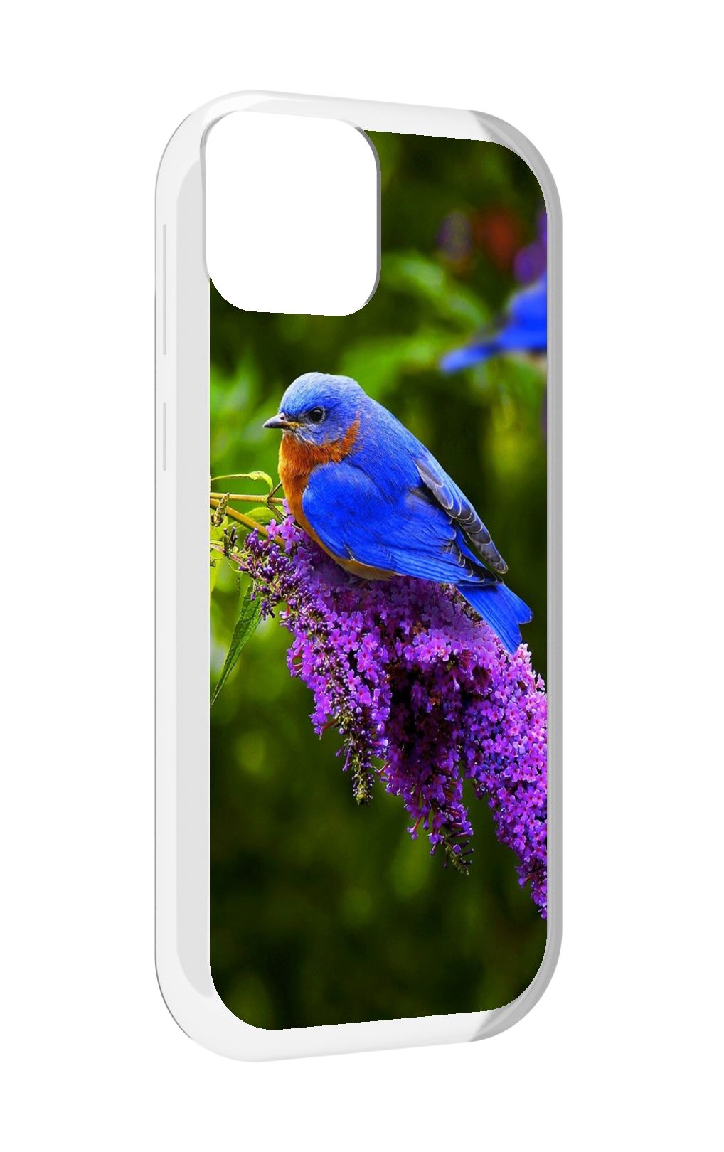 

Чехол MyPads Птица-сиреневая для UleFone Note 6 / Note 6T / Note 6P, Прозрачный, Tocco