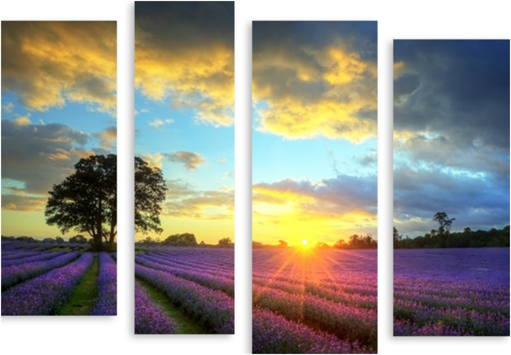 

Картина модульная на холсте Модулка Цветочная поляна 90x69 см, 3505