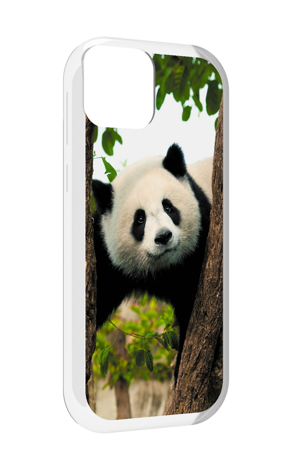

Чехол MyPads Панда-на-дереве для UleFone Note 6 / Note 6T / Note 6P, Прозрачный, Tocco
