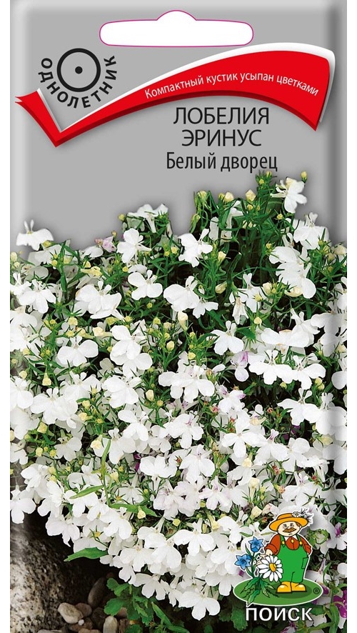 

Семена лобелия Поиск Белый дворец 47471 1 уп., Семена Лобелия эринус Белый дворец однолетние 0,1 гр.