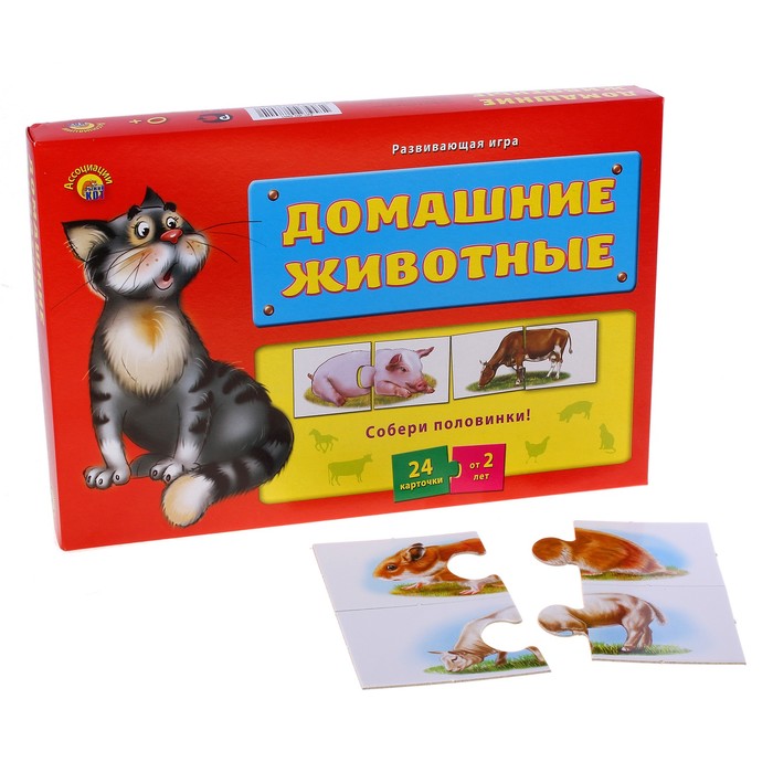 

Ассоциации-половинки Домашние животные Рыжий кот