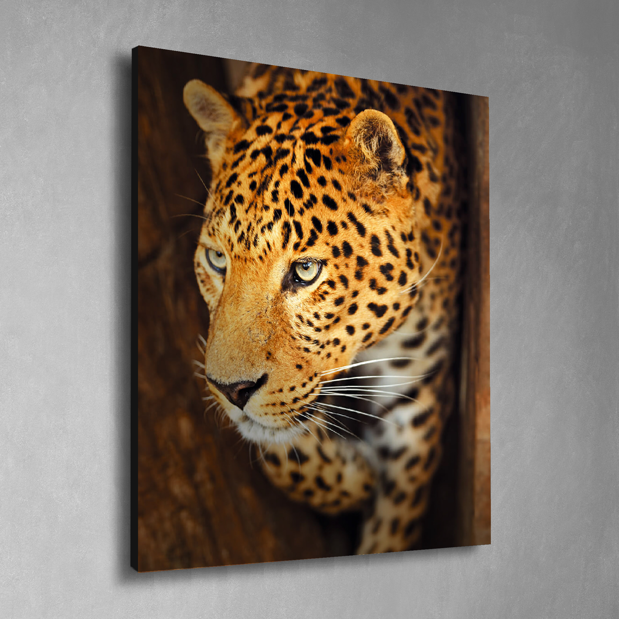 

Картина декобокс Postermarket Леопард 40х50 см, DC-4002