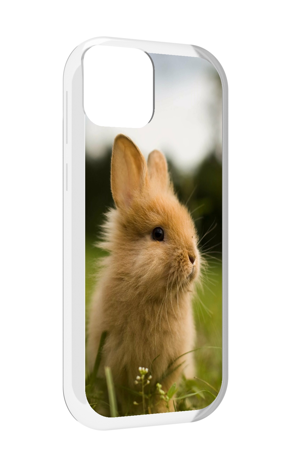 

Чехол MyPads Кролик для UleFone Note 6 / Note 6T / Note 6P, Прозрачный, Tocco