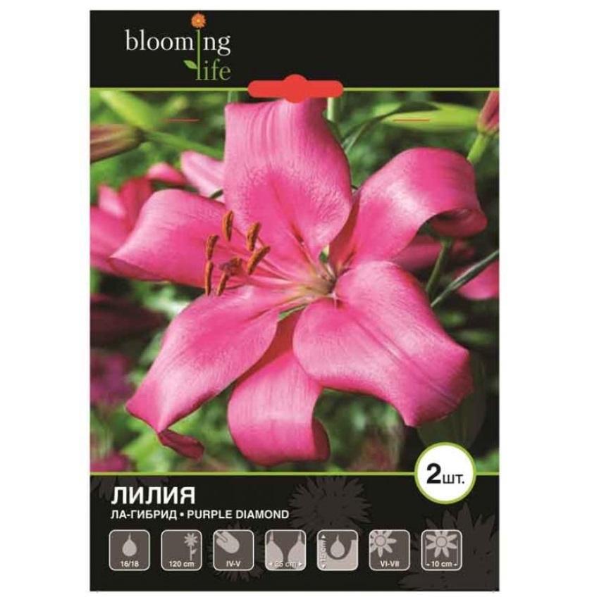 

Семена 7 Цветов Лилия ла-гибрид Перпл Даймонд 16-18 см 12 г x 2 шт