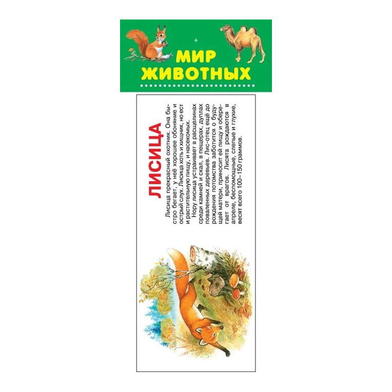 

Набор карточек Мир животных