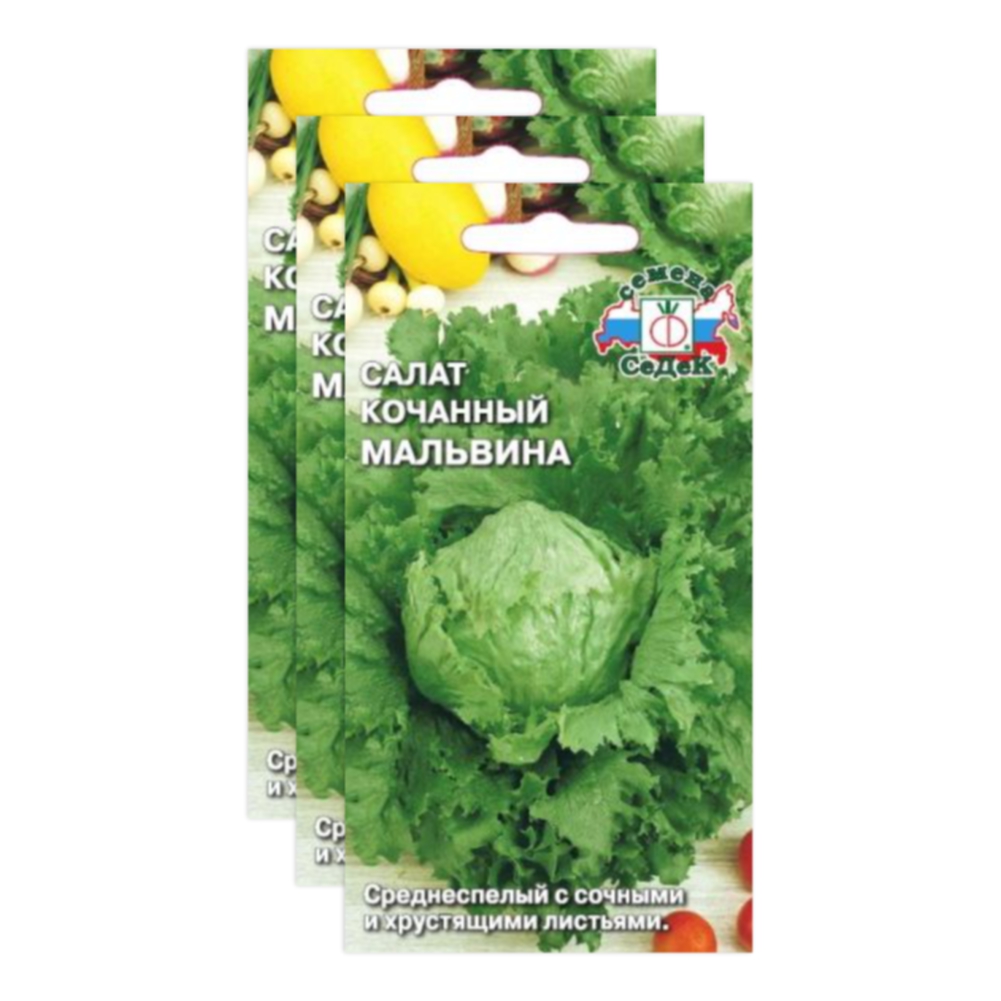 

Комплект семян салат айсберг Мальвина Седек Среднеспелые 23-04131 3 упаковки