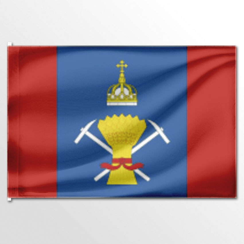 

Флаг ЦТП ФЕНИКС Подольского района 135x90 см, 1756-135x90
