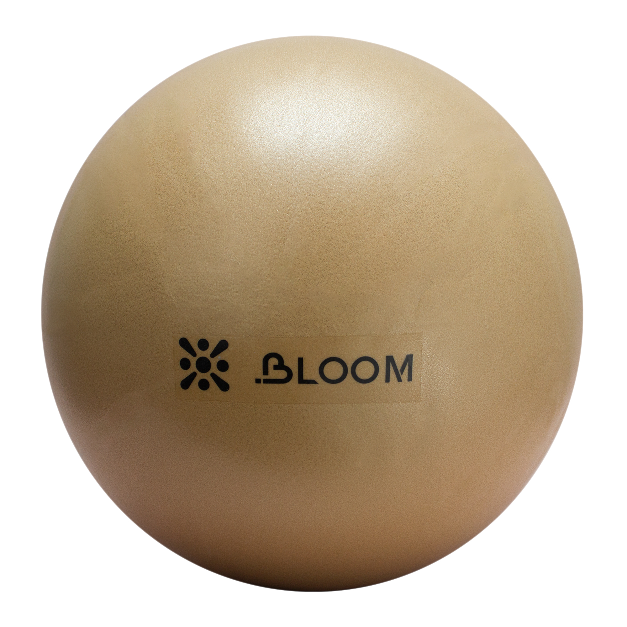 Мяч для пилатеса LiveUp LB7000 30 см
