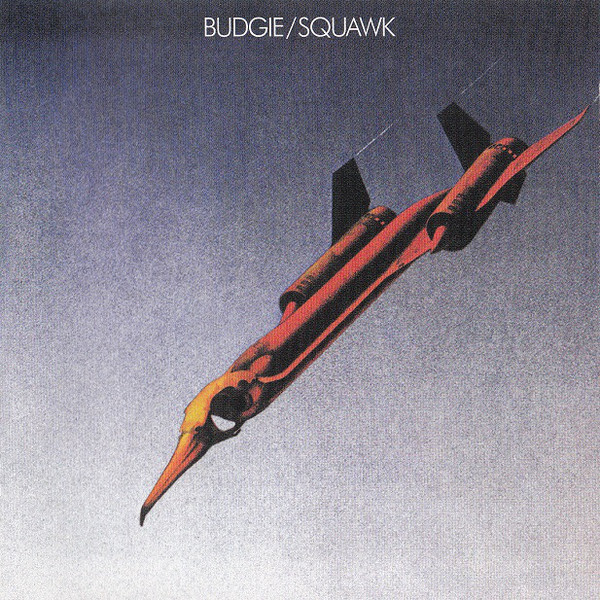 BUDGIE: Squawk