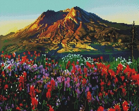 

PaintBoy Алмазная вышивка Цветущее поле у гор UA440, 40x50 см