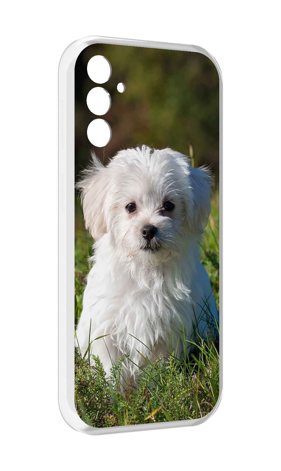 

Чехол MyPads мальтииская-болонка для Samsung Galaxy M13, Прозрачный, Tocco