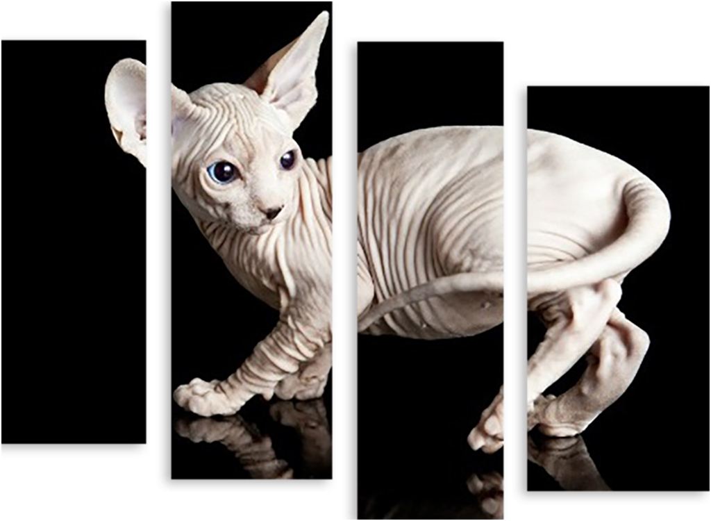 

Картина модульная на холсте Модулка Сфинкс 150x122 см, 3315