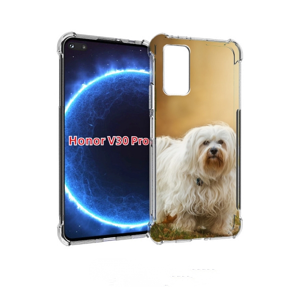 

Чехол бампер MyPads гаванскии бишон для Honor V30 Pro, Прозрачный, Tocco
