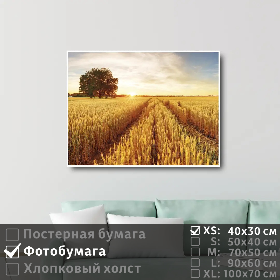 

Постер на фотобумаге ПолиЦентр Восход солнца над пшеничным полем 40х30 см, ВосходСолнцаНадПшеничнымПолем