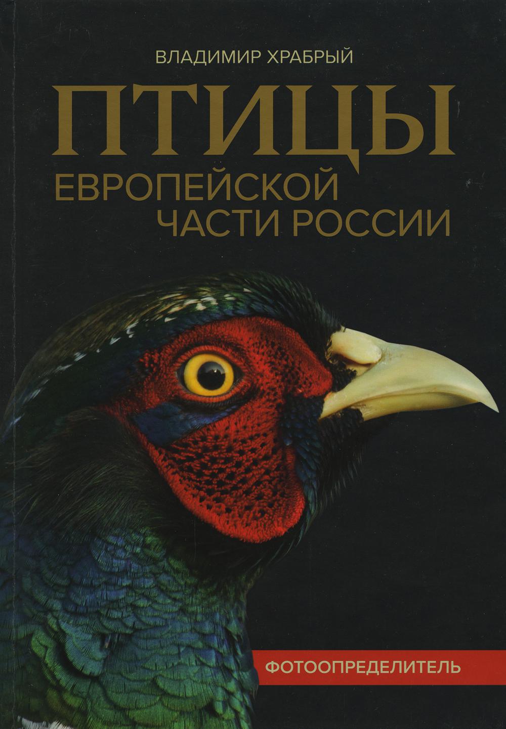 

Птицы Европейской части России: фотоопределитель
