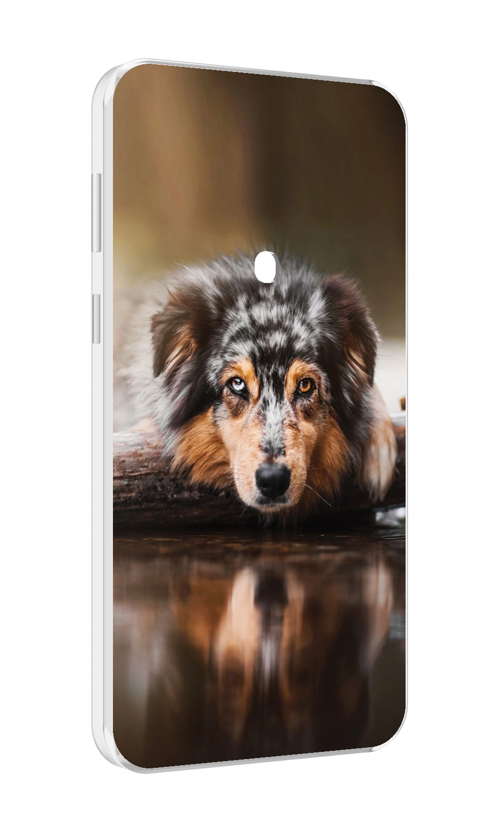 

Чехол MyPads австралииская овчарка для Meizu 16 Plus/16th Plus, Прозрачный, Tocco