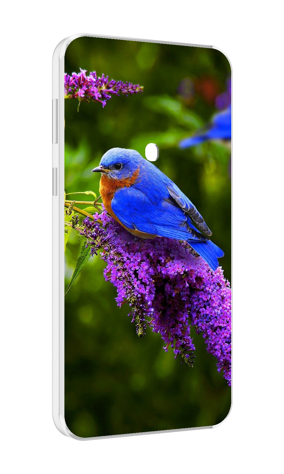 

Чехол MyPads Птица-сиреневая для Meizu 16 Plus / 16th Plus, Прозрачный, Tocco