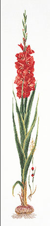 фото Набор для вышивания на льне thea gouverneur "красный гладиолус", канва лён 36 ct, арт.3073