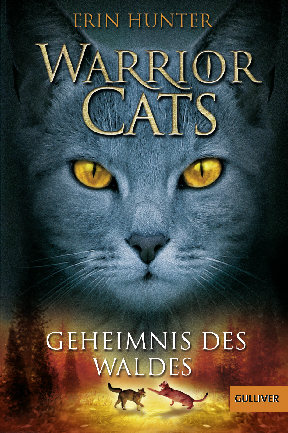

Warrior Cats Geheimnis des Waldes