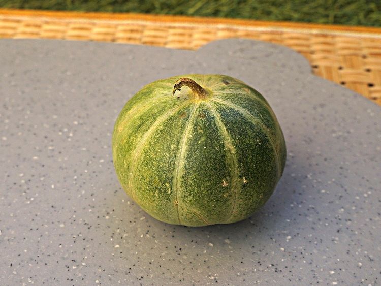 

Семена огурдыня Лартон F1 Сады Азии 27812