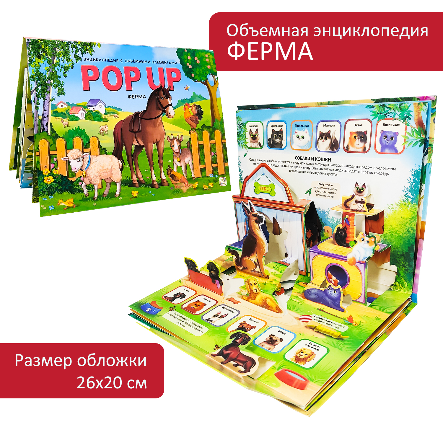 

Животные, Ферма, POP UP энциклопедия